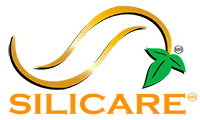 Logo de Silicare